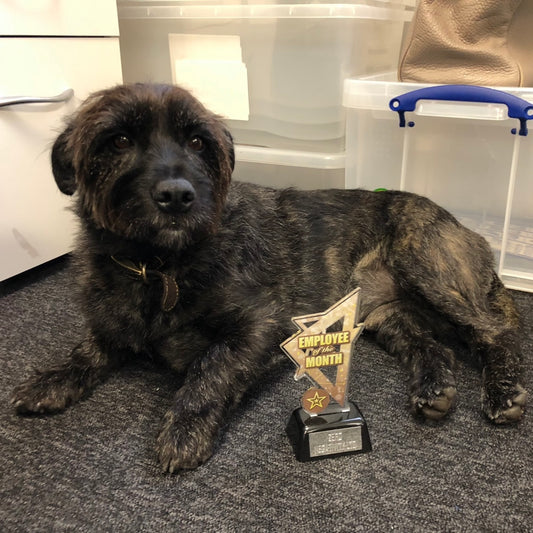 Mr Ted wins April Employee of the Month